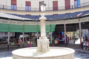 IMGP3358
