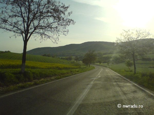 Prin Dobrogea