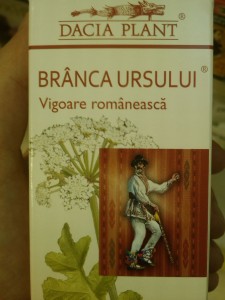 Branca ursului