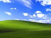 Wallpaper-ul din Windows XP se numește Bliss