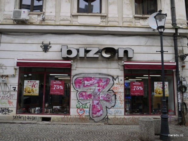 bizon