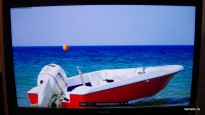 philips_272c4qpjkab_11_brightness_100