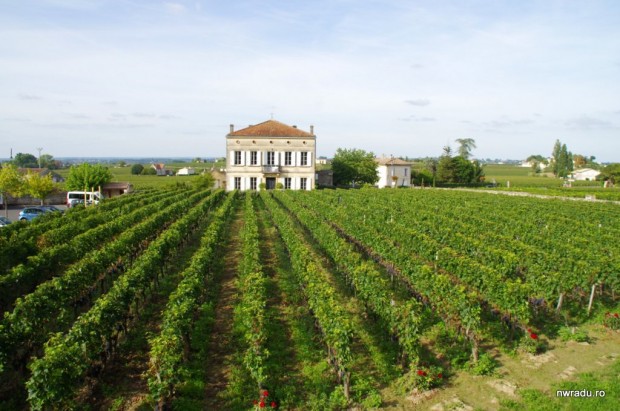 saint-emilion_vivolis_19