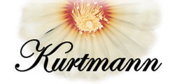 logo_kurtmann