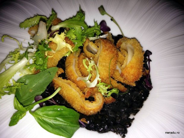 joseph_hadad_restaurant_calamari_linte_02