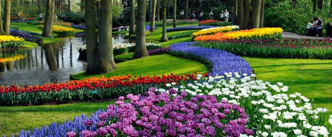 Amsterdam: paradisul florilor la Keukenhof