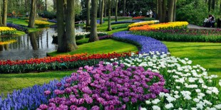 keukenhof_oficial