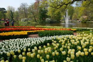 keukenhof_oficial_1