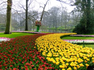 keukenhof_oficial_4