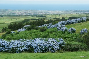 serra_do_cume_terceira_azore_02