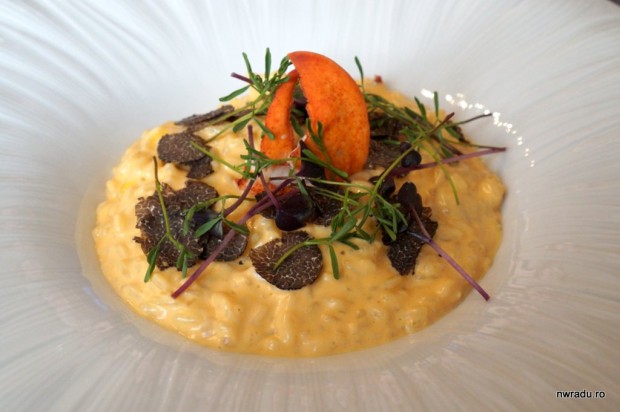 restaurant_joseph_3_risotto_homar