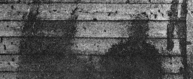 70 de ani mai târziu, iată ce imagini mă impresionează de la Hiroshima