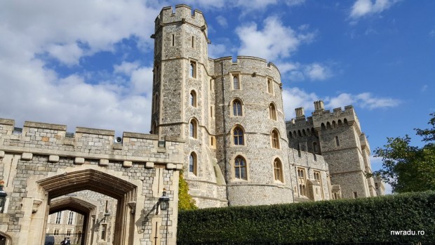 windsor_12