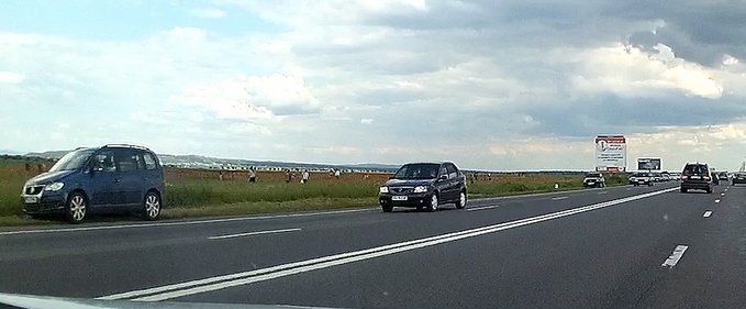 Oameni și maci