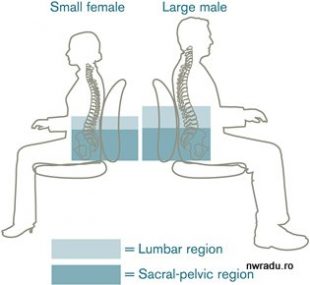 pozitie_corecta_pelvis_1