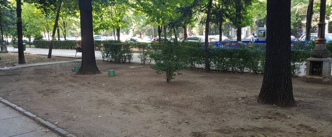 Cum arată, de fapt, spațiul verde din București