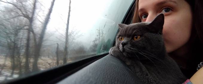 Câștigătorii concursului Asus ZenFone de fotografie și topul meu
