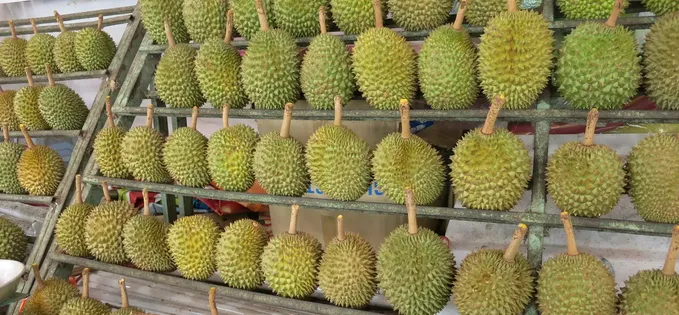 Dacă vreți să trăiți periculos, Sezamo vinde durian… proaspăt