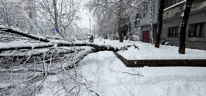 Haos pe străzile din cartier după cea mai mare ninsoare din ultimii ani